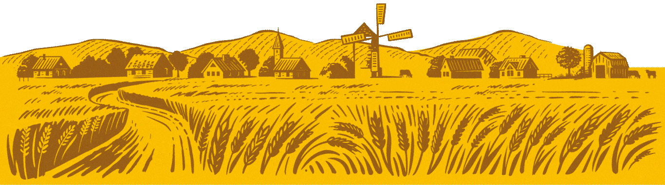 STOK Beer Wheat Panda mascot footer animation