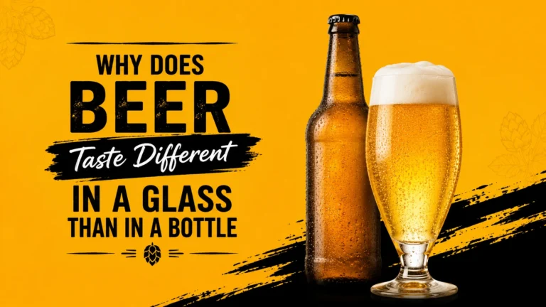 Beer Taste Different in a Glass Than a Bottle